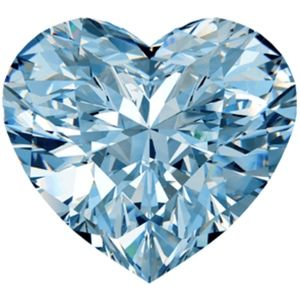 Meet your Posher, Ann